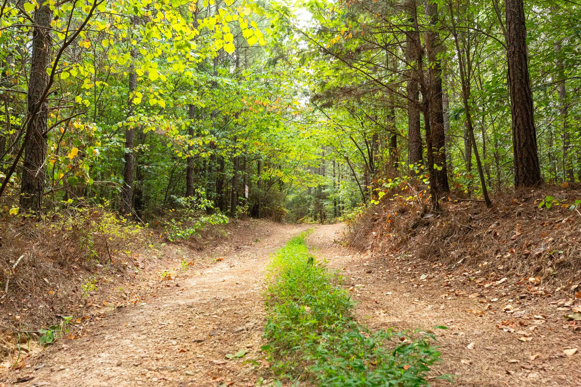 Harvest Ridge Tract 2 photo 4
