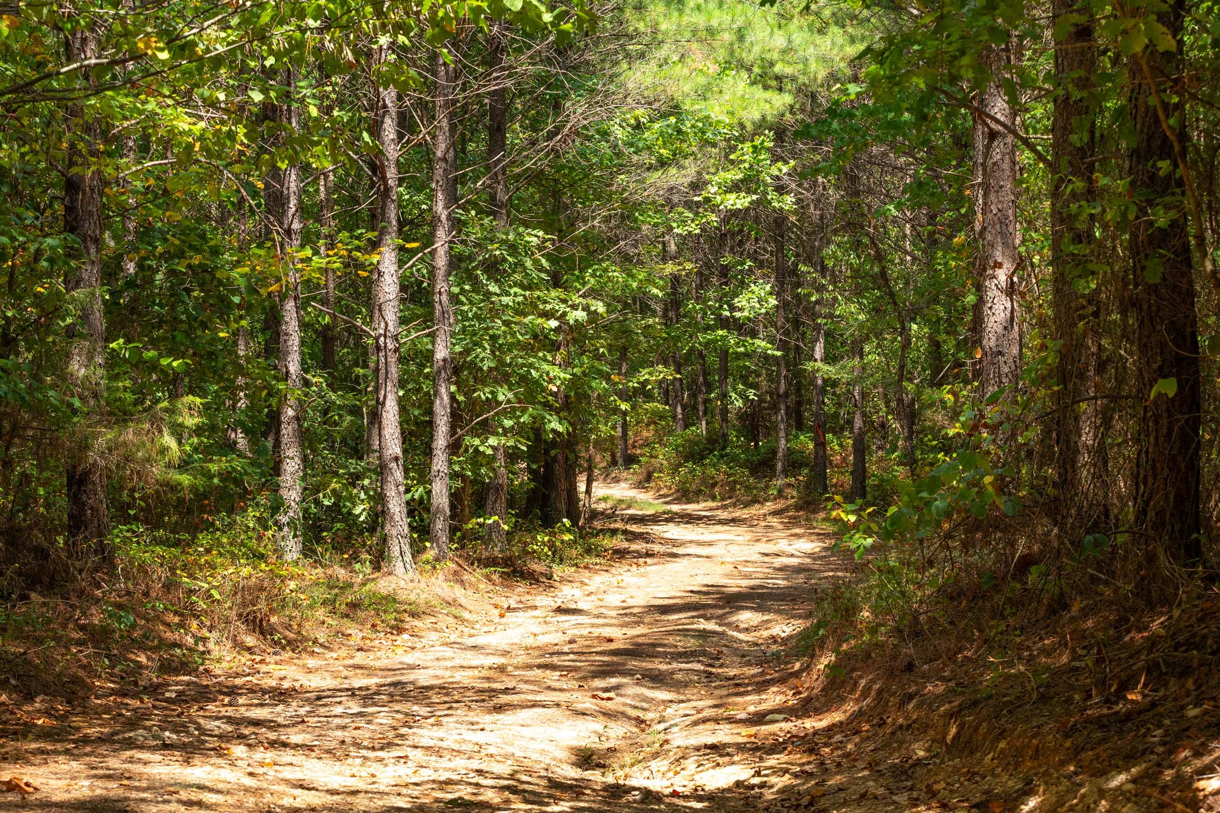 Harvest Ridge Tract 2 photo 8