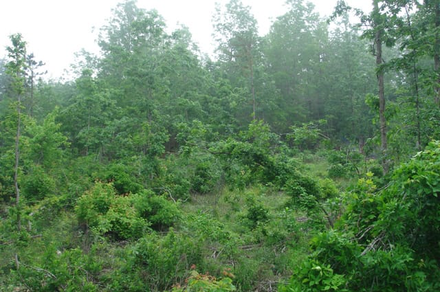 Deer Valley Tract 9 photo 10