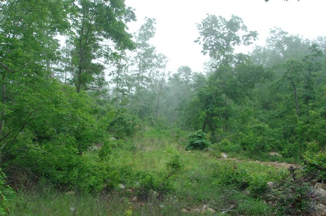 Deer Valley Tract 9 photo 12