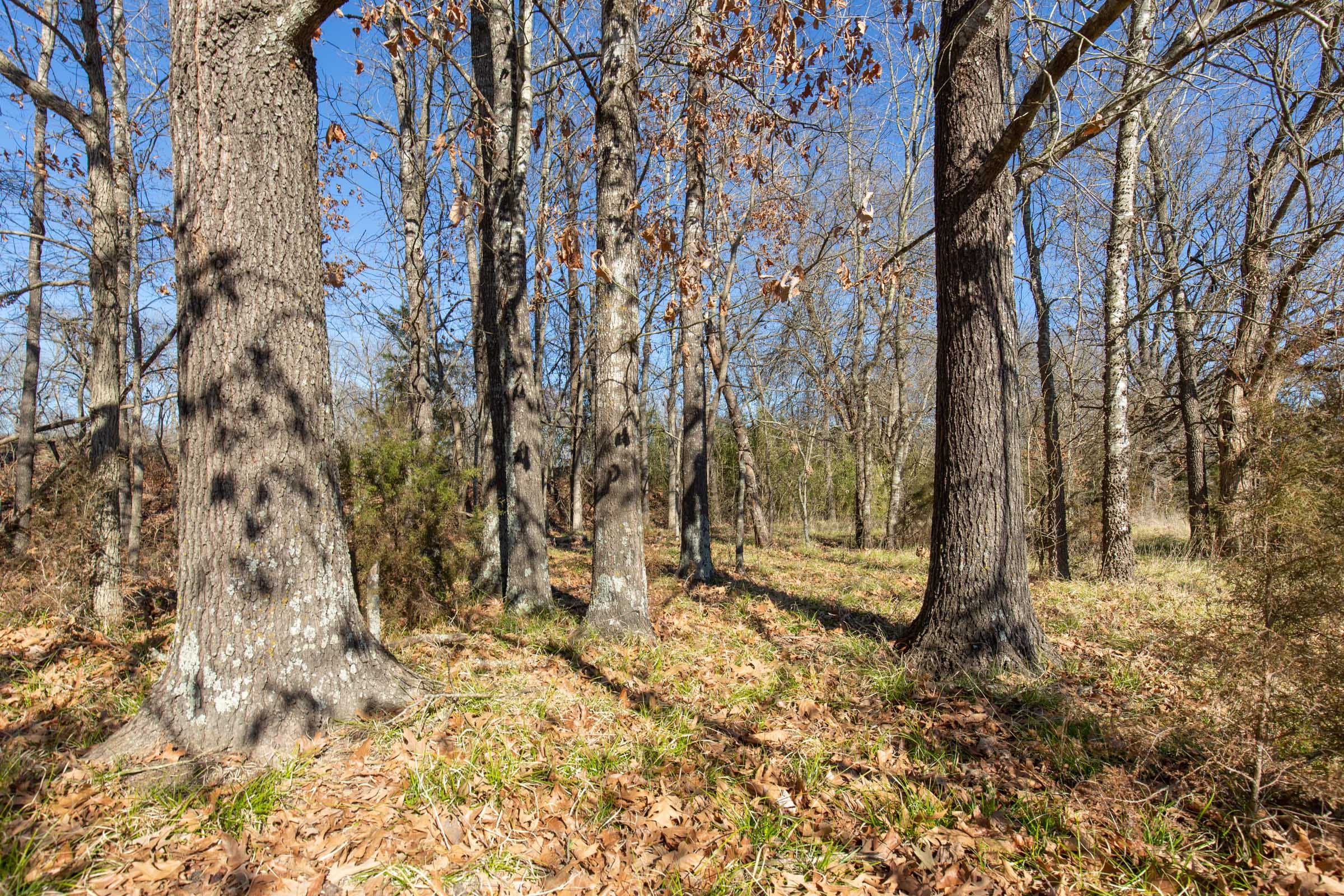 Wishing Star Ranch Tract 3 photo 2