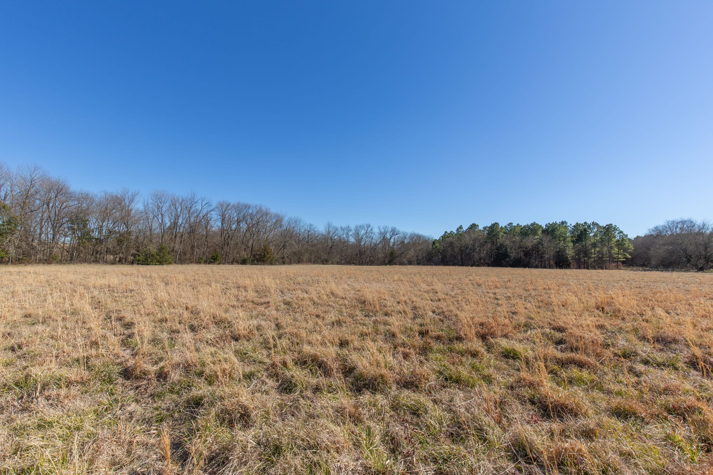 Wishing Star Ranch Tract 3 photo 1