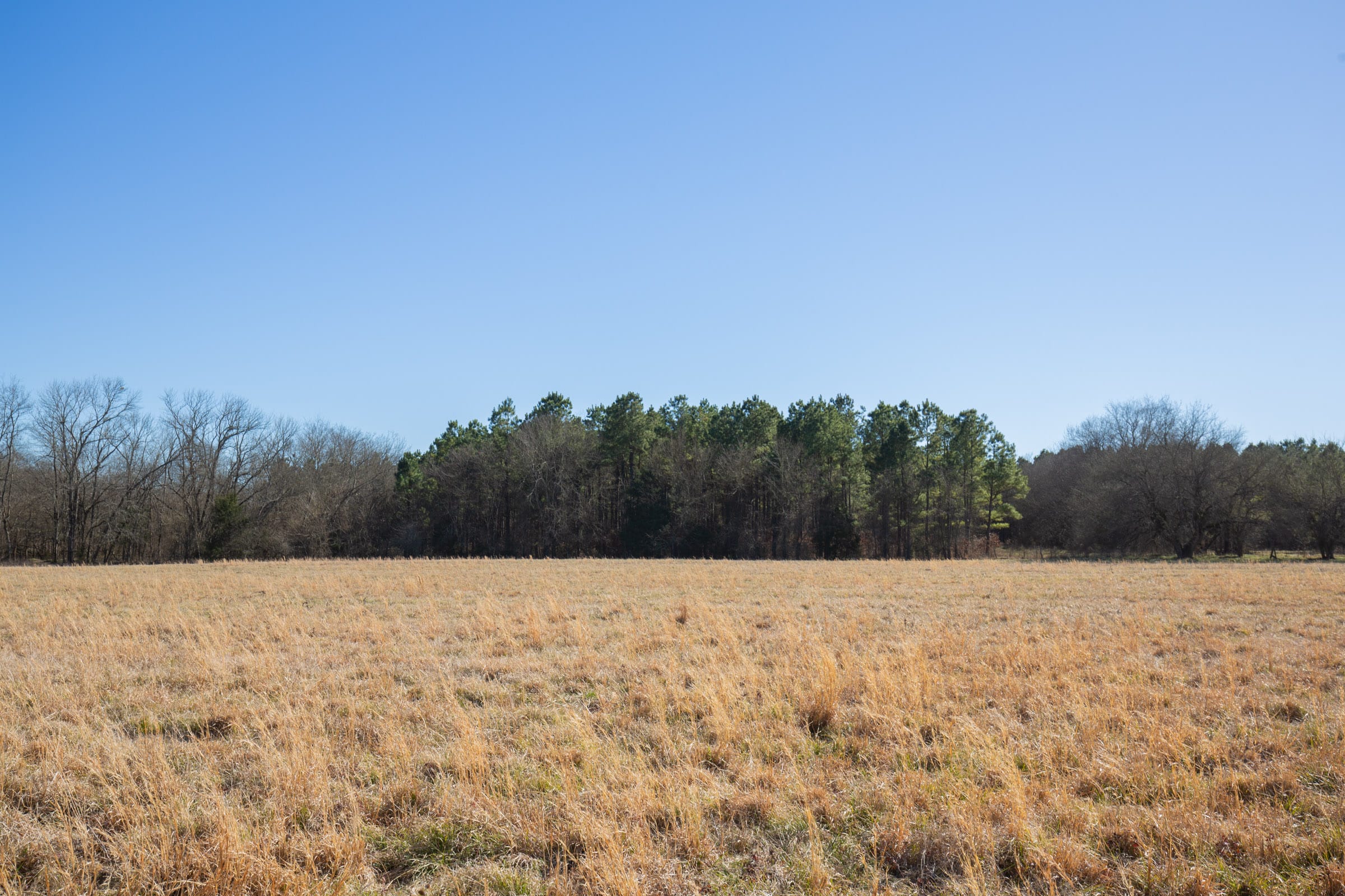 Wishing Star Ranch Tract 3 photo 4