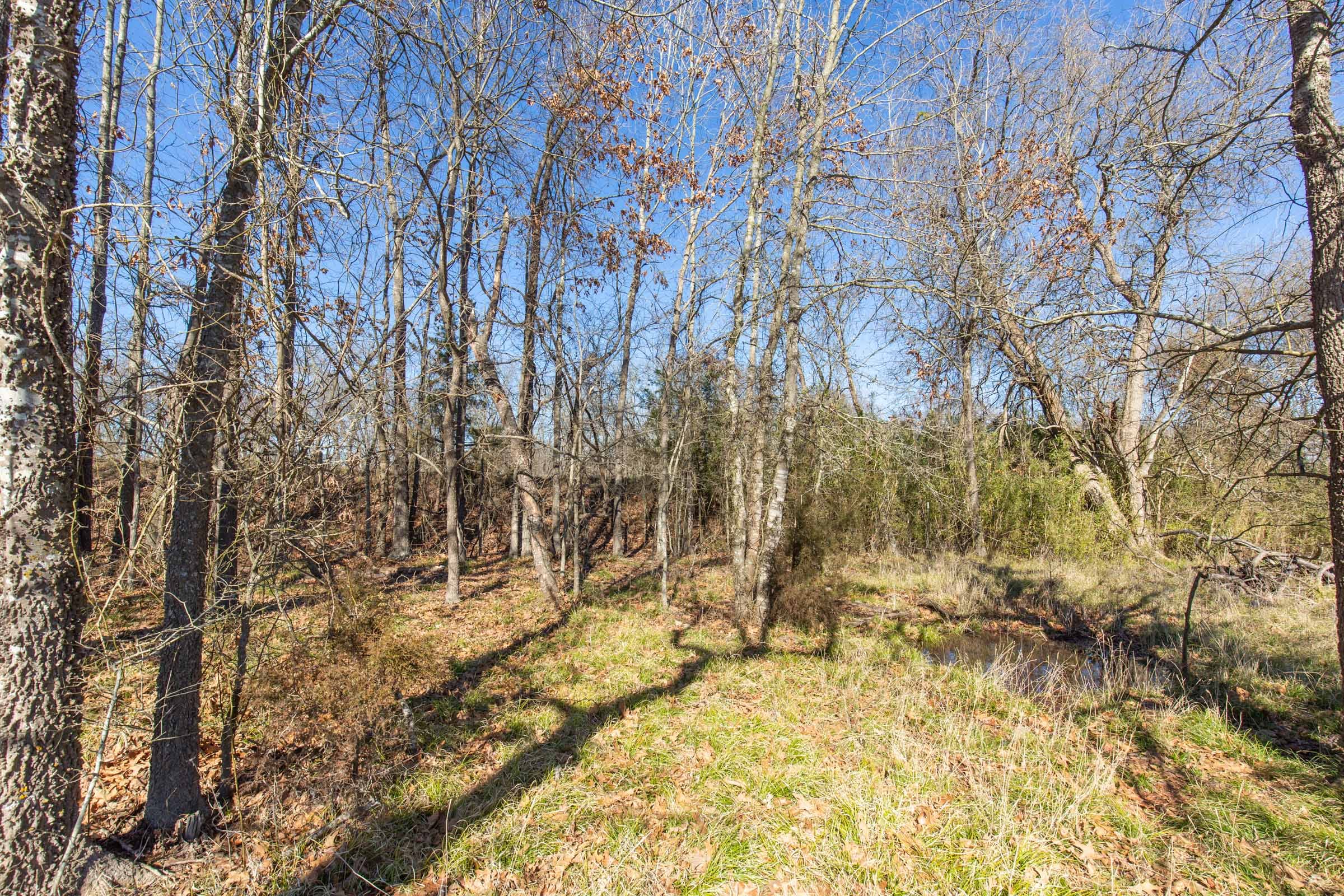 Wishing Star Ranch Tract 3 photo 6