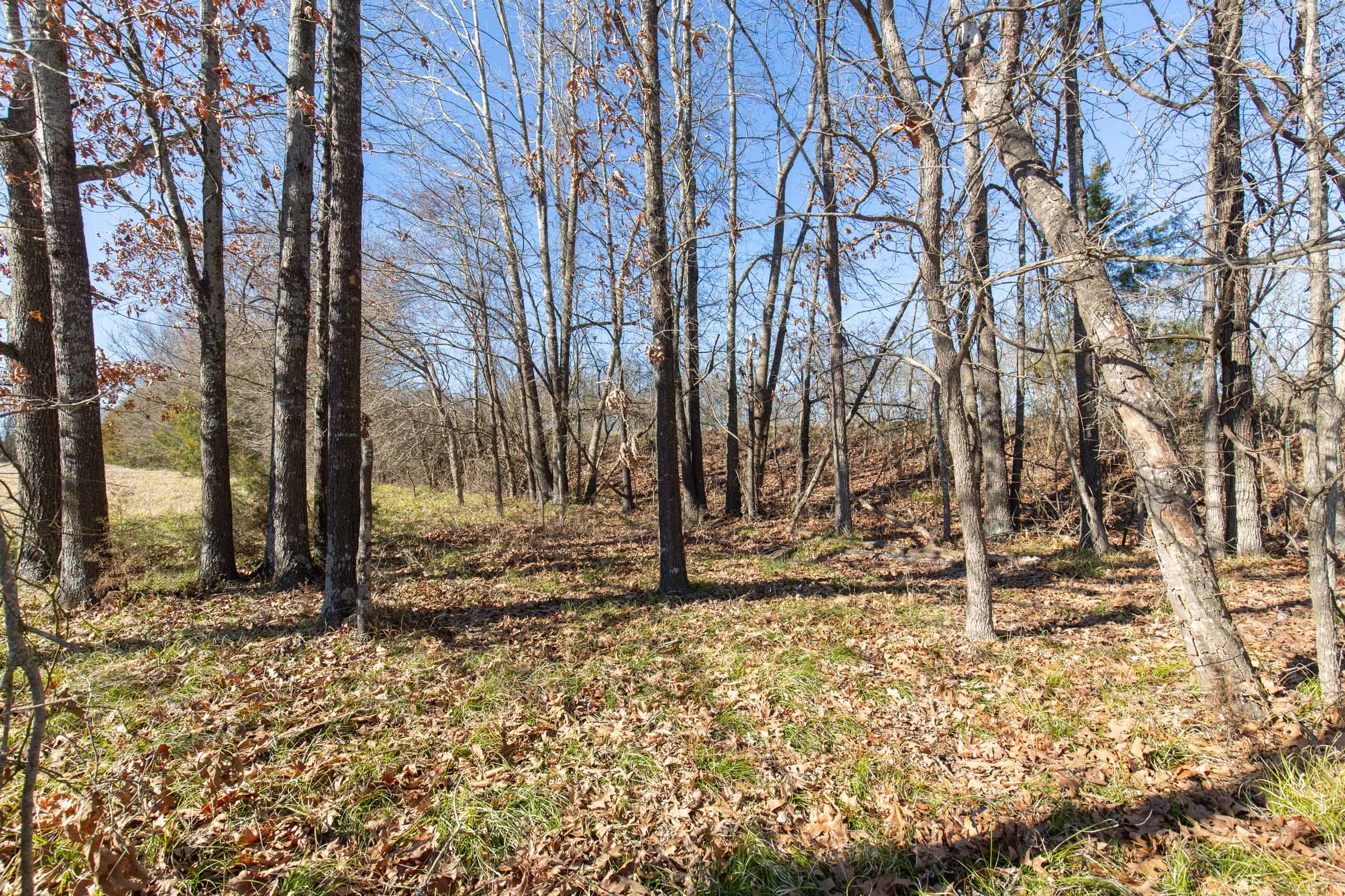 Wishing Star Ranch Tract 3 photo 7