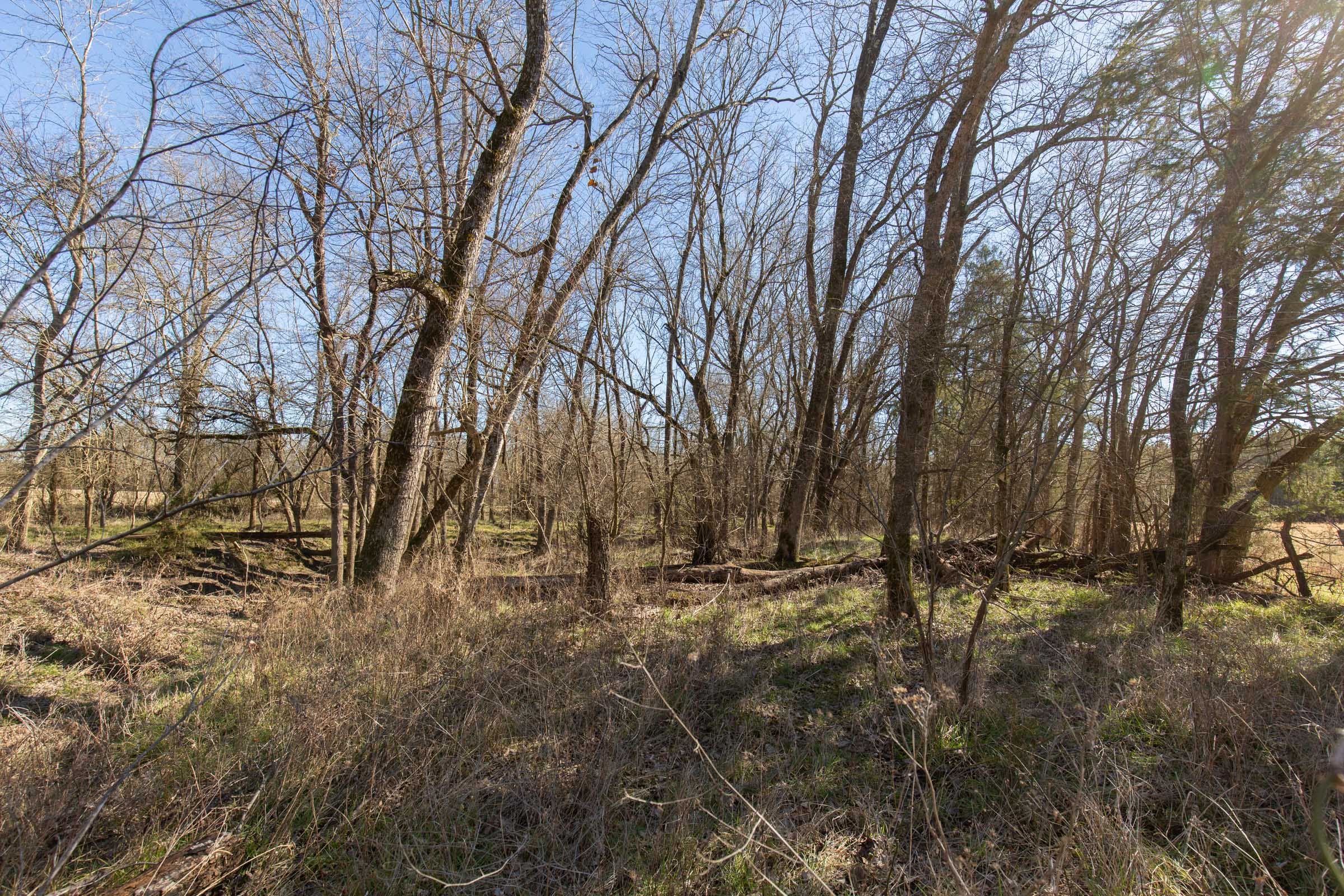 Wishing Star Ranch Tract 3 photo 12