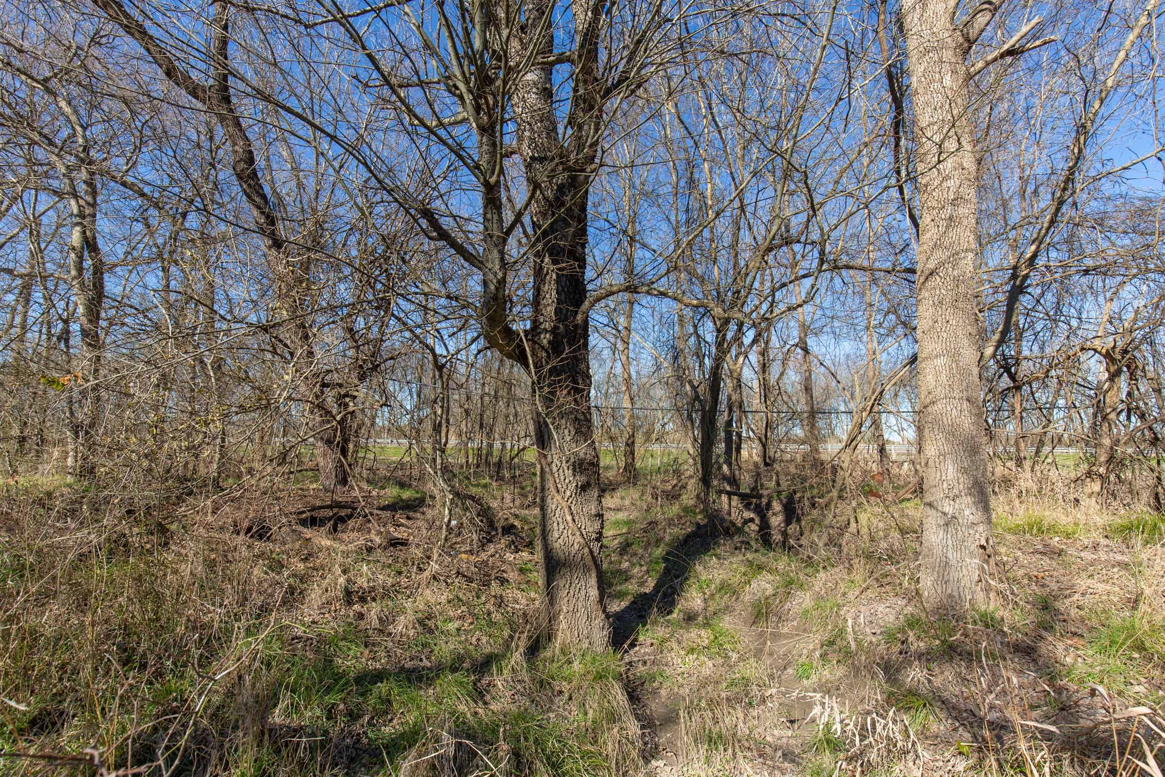 Wishing Star Ranch Tract 3 photo 13