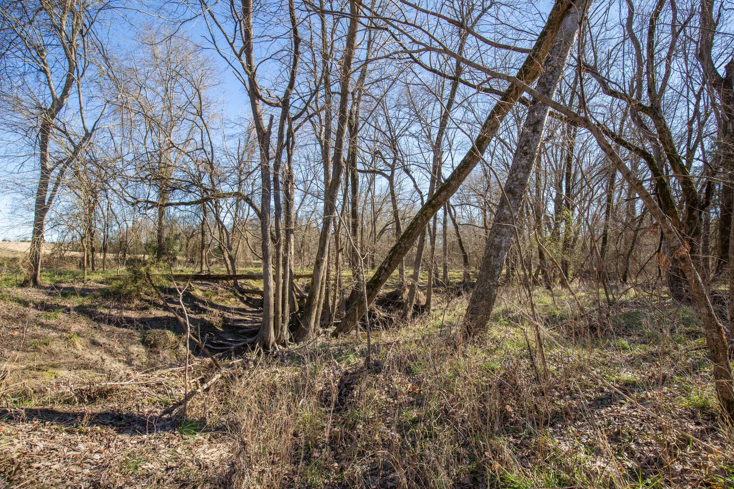 Wishing Star Ranch Tract 3 photo 16