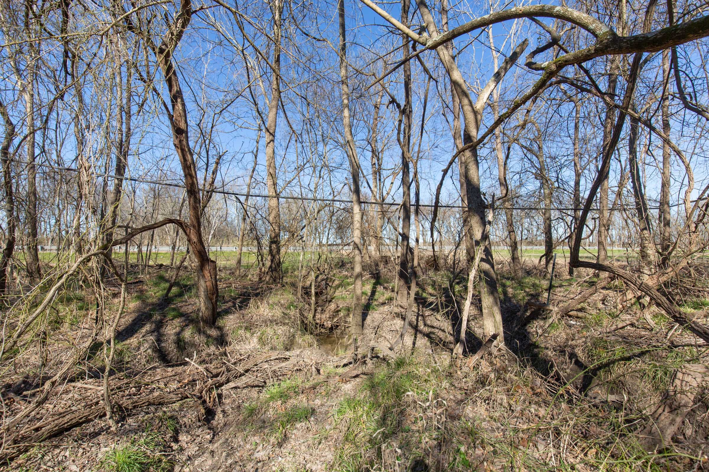Wishing Star Ranch Tract 3 photo 17