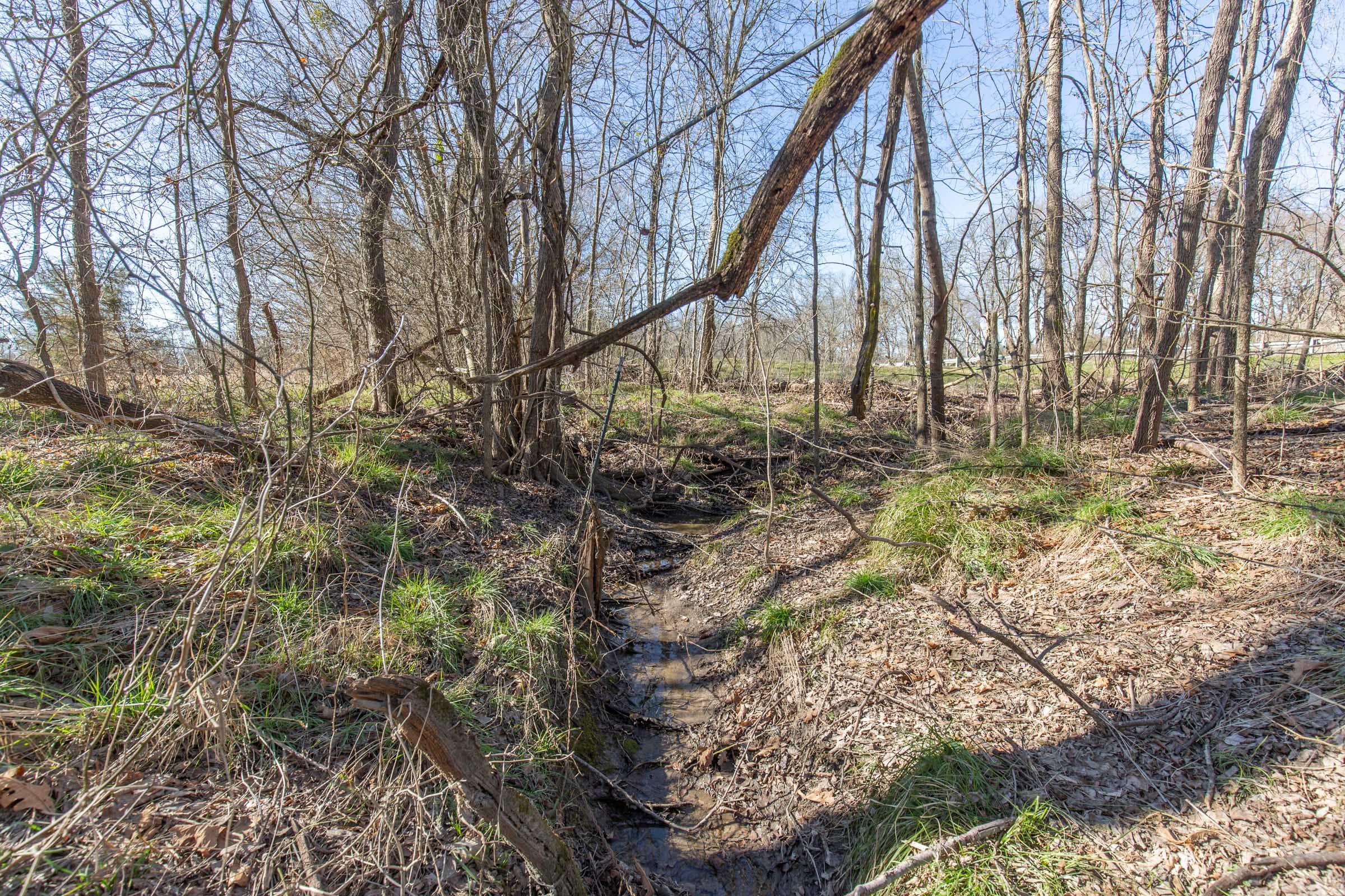Wishing Star Ranch Tract 3 photo 18