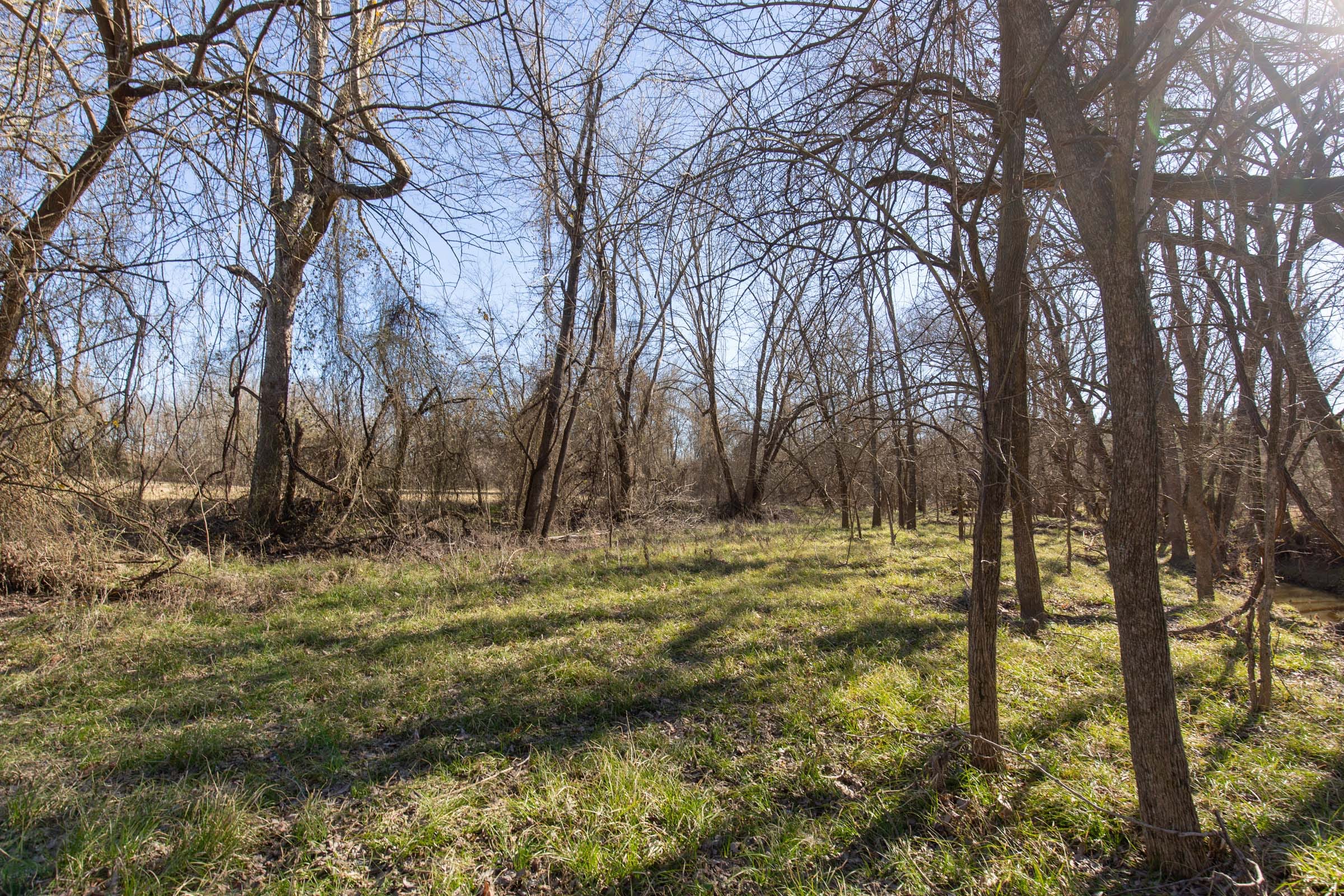Wishing Star Ranch Tract 3 photo 22
