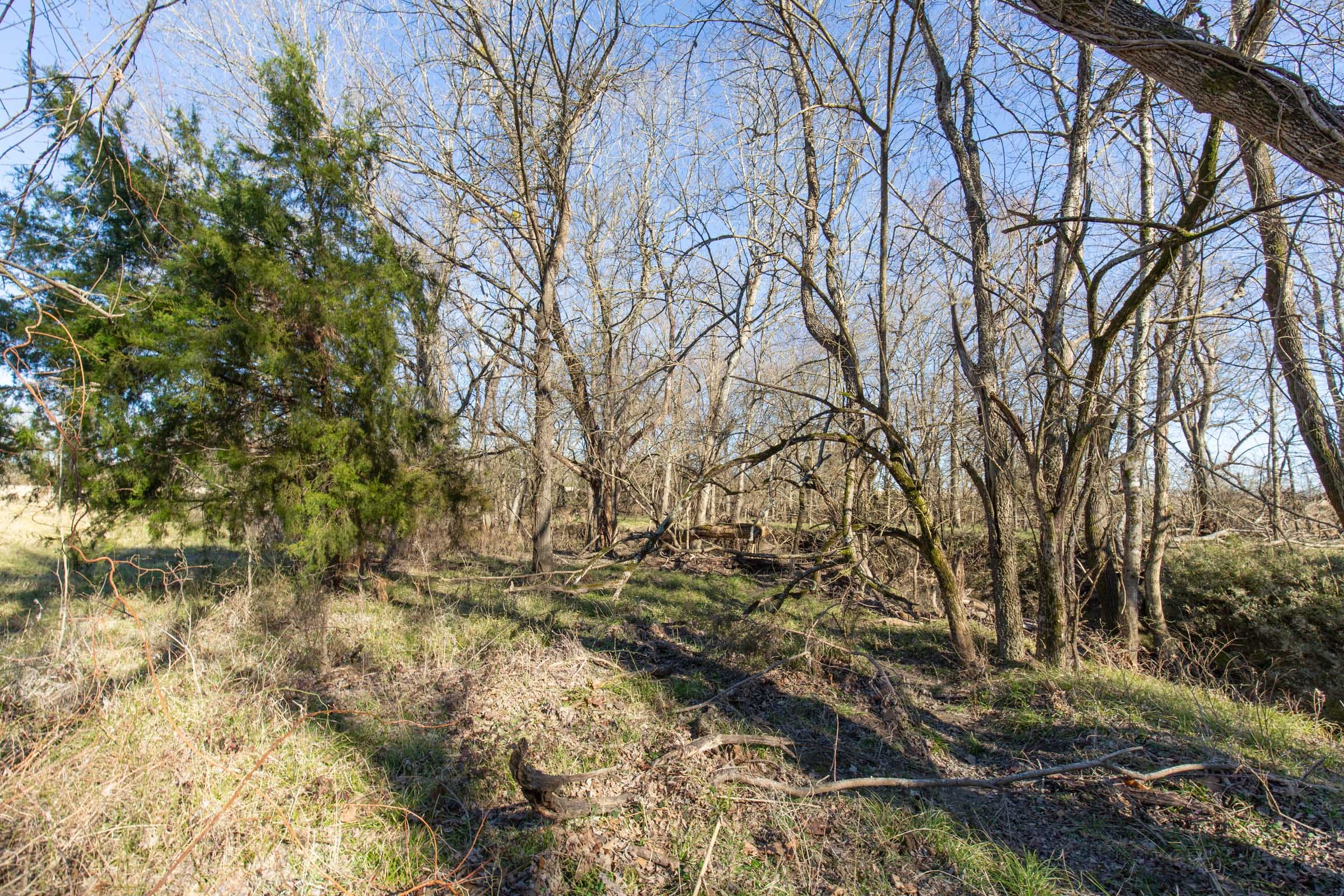 Wishing Star Ranch Tract 3 photo 32