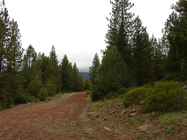 California Pines Tract 12 photo 7