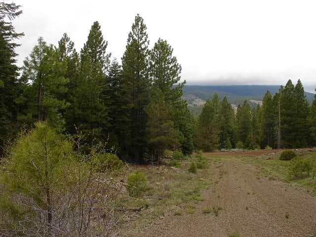 California Pines Tract 38 photo 3