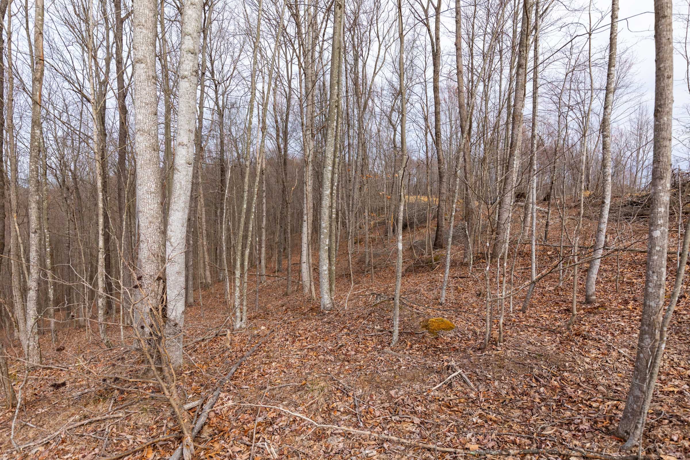 Creek Hollow Phase I Tract 2 photo 2