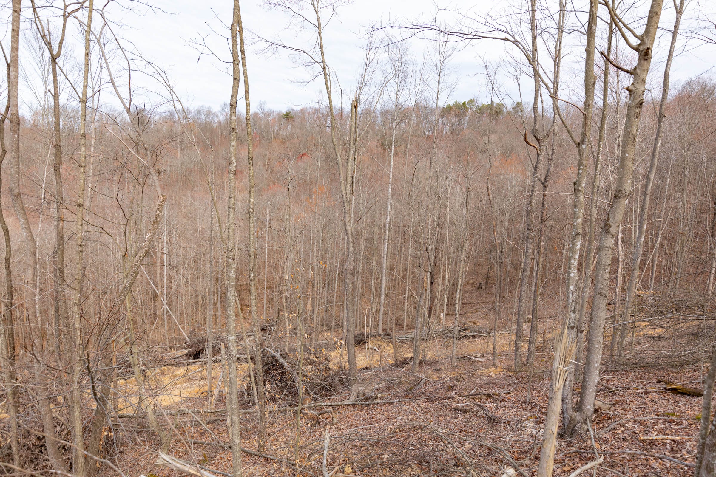 Creek Hollow Phase I Tract 2 photo 6