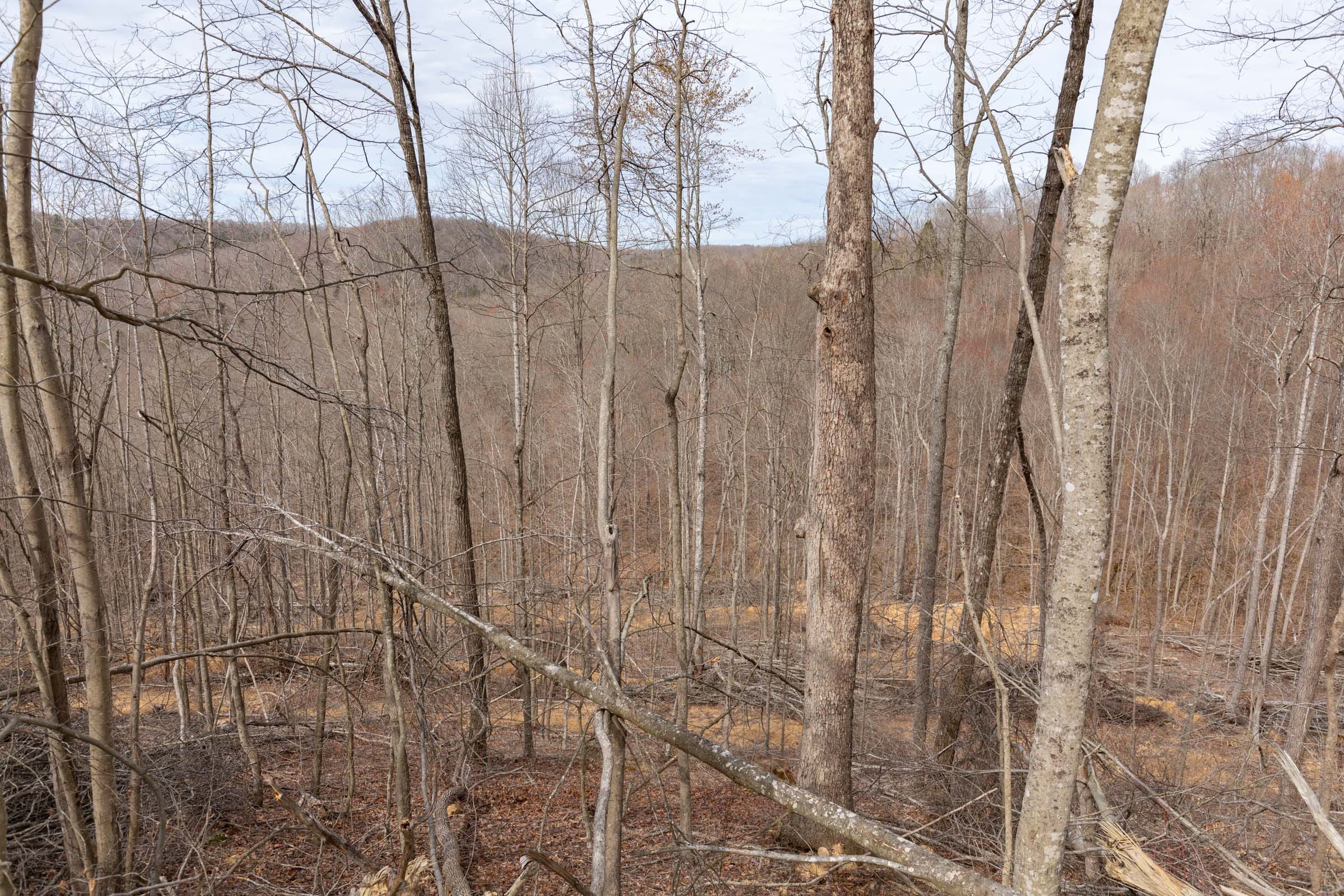 Creek Hollow Phase I Tract 2 photo 8
