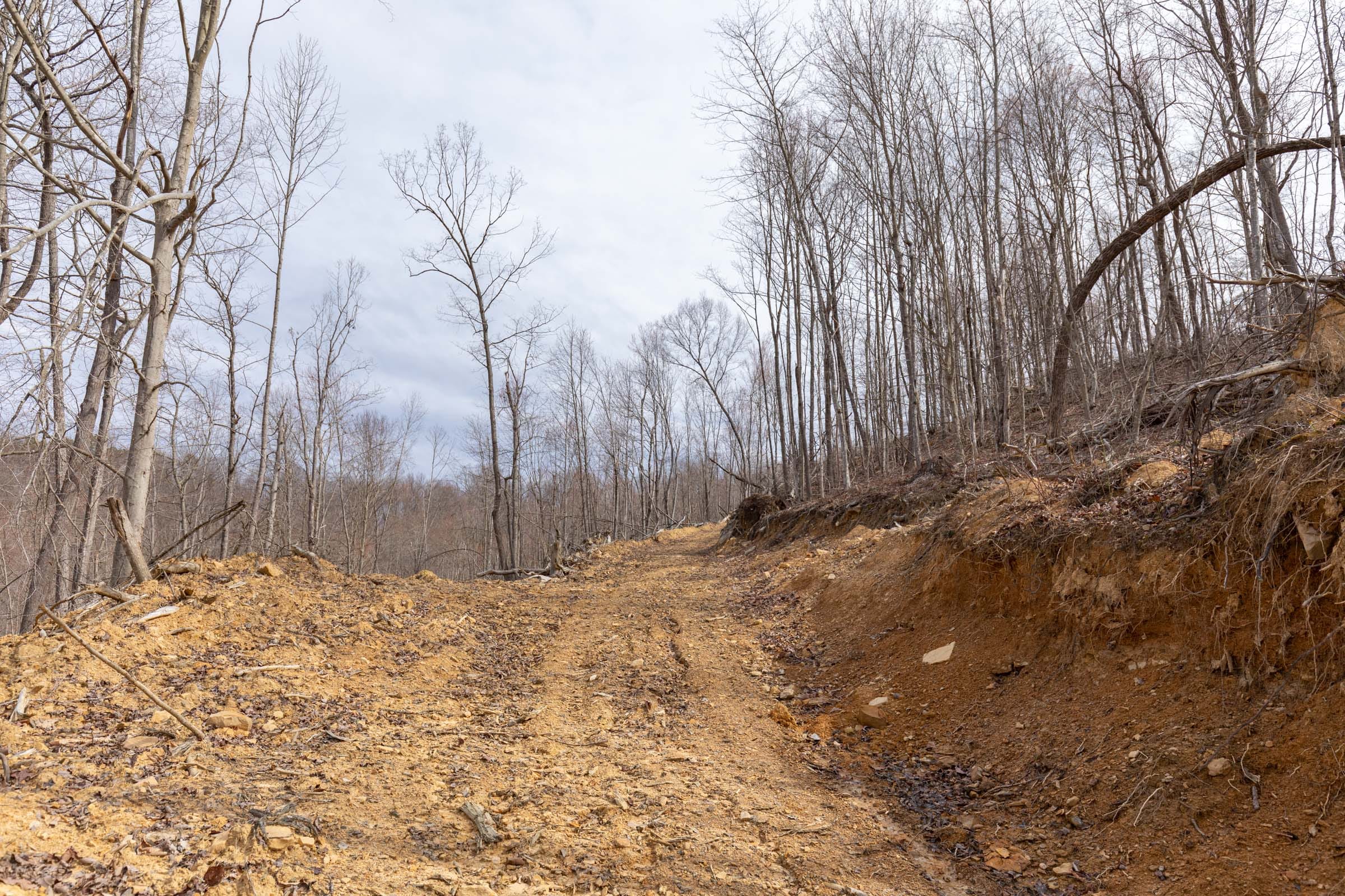 Creek Hollow Phase I Tract 2 photo 9