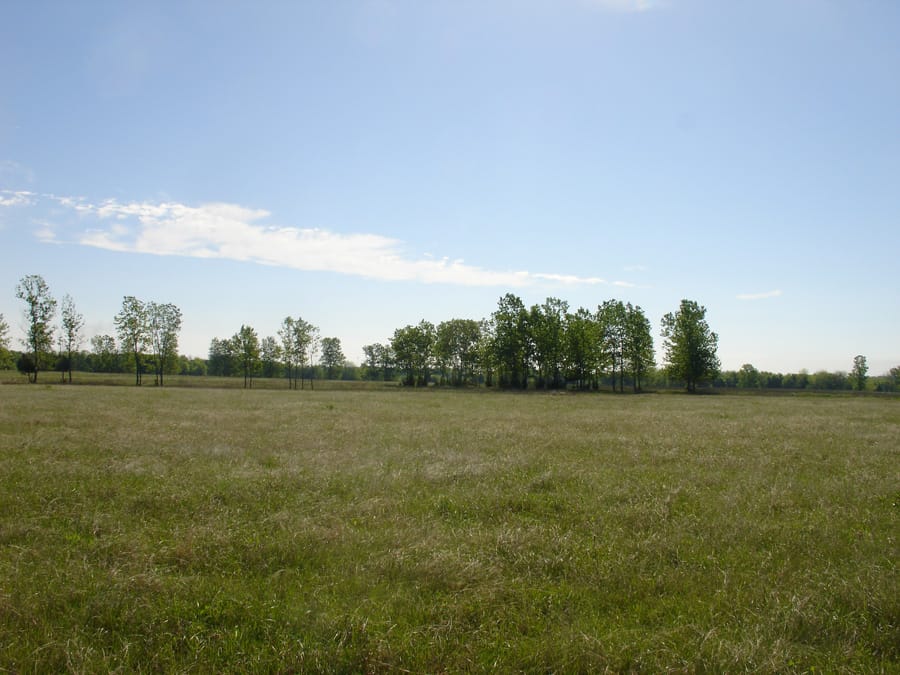 Red River Ranch Tract 7 photo 4
