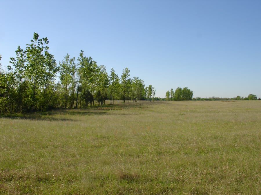 Red River Ranch Tract 7 photo 5