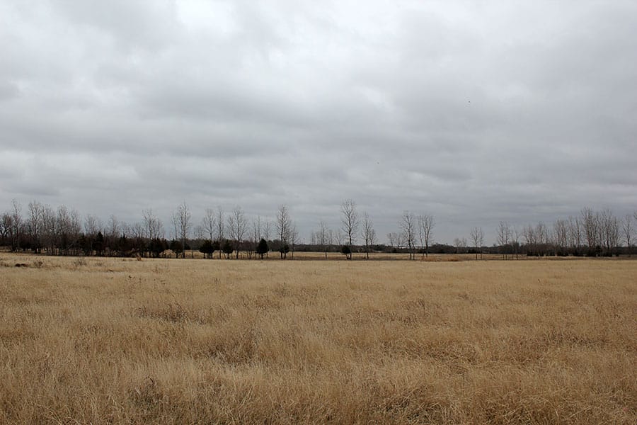 Red River Ranch Tract 7 photo 8