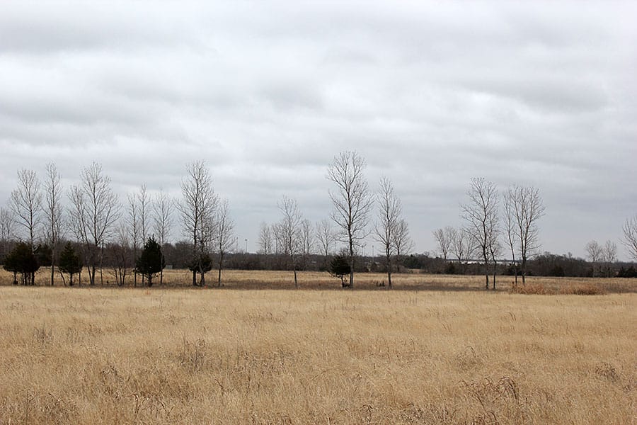 Red River Ranch Tract 7 photo 9