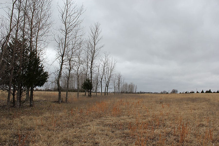 Red River Ranch Tract 7 photo 10