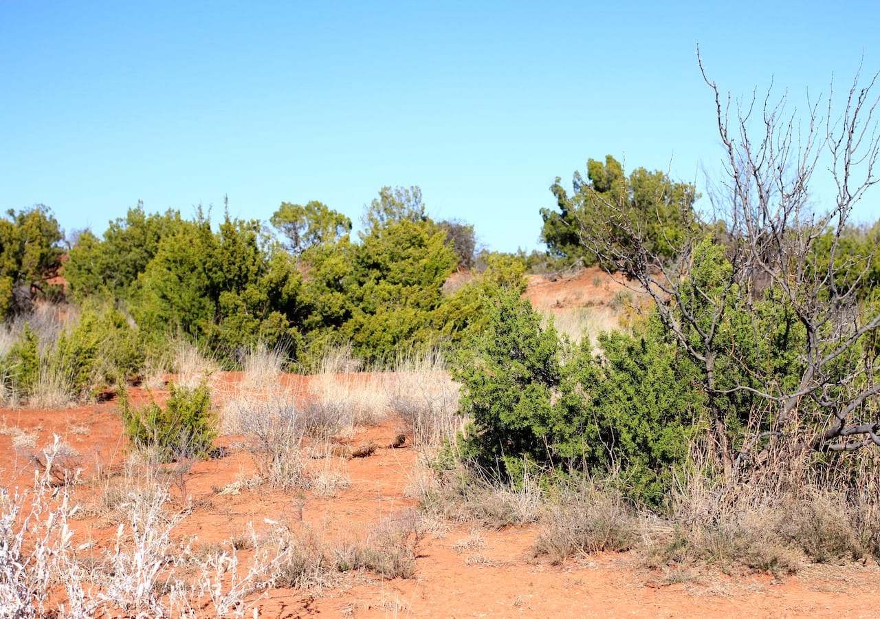 Red Rock Ranch Tract 23 photo 4