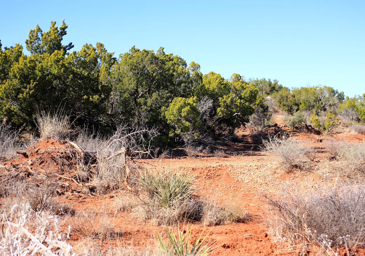 Red Rock Ranch Tract 23 photo 5