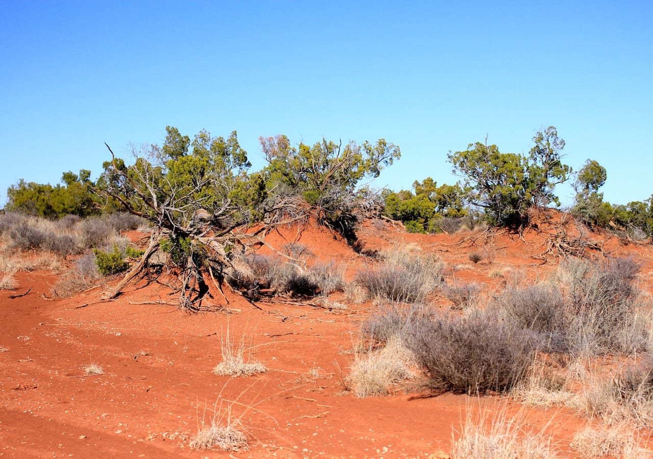 Red Rock Ranch Tract 23 photo 6