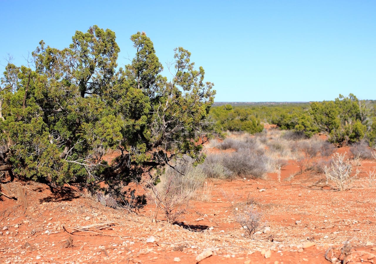 Red Rock Ranch Tract 23 photo 7