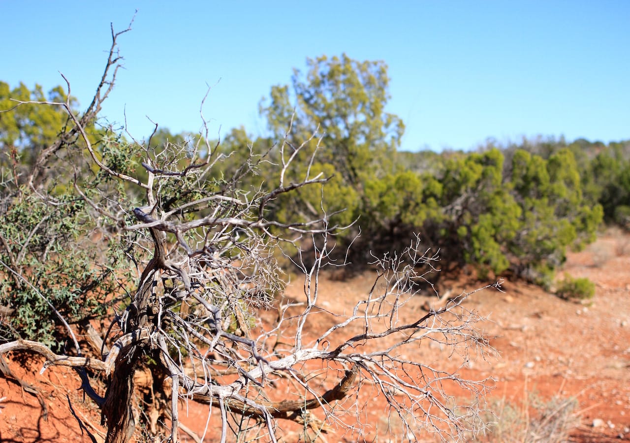 Red Rock Ranch Tract 23 photo 8