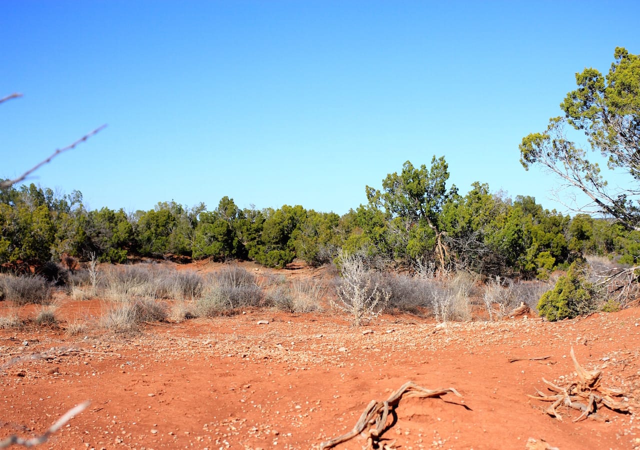 Red Rock Ranch Tract 23 photo 9
