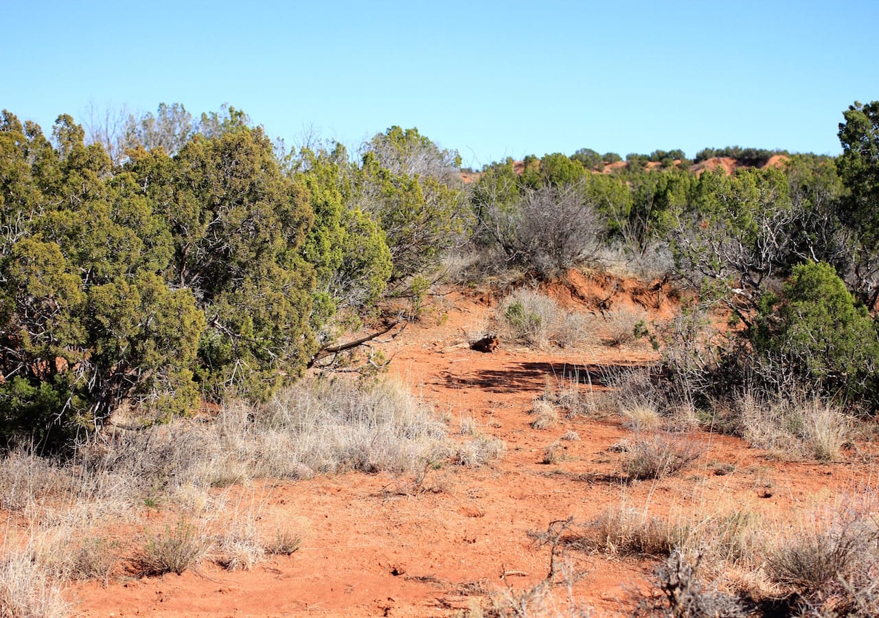 Red Rock Ranch Tract 23 photo 11