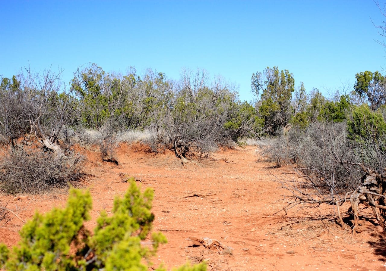 Red Rock Ranch Tract 23 photo 12