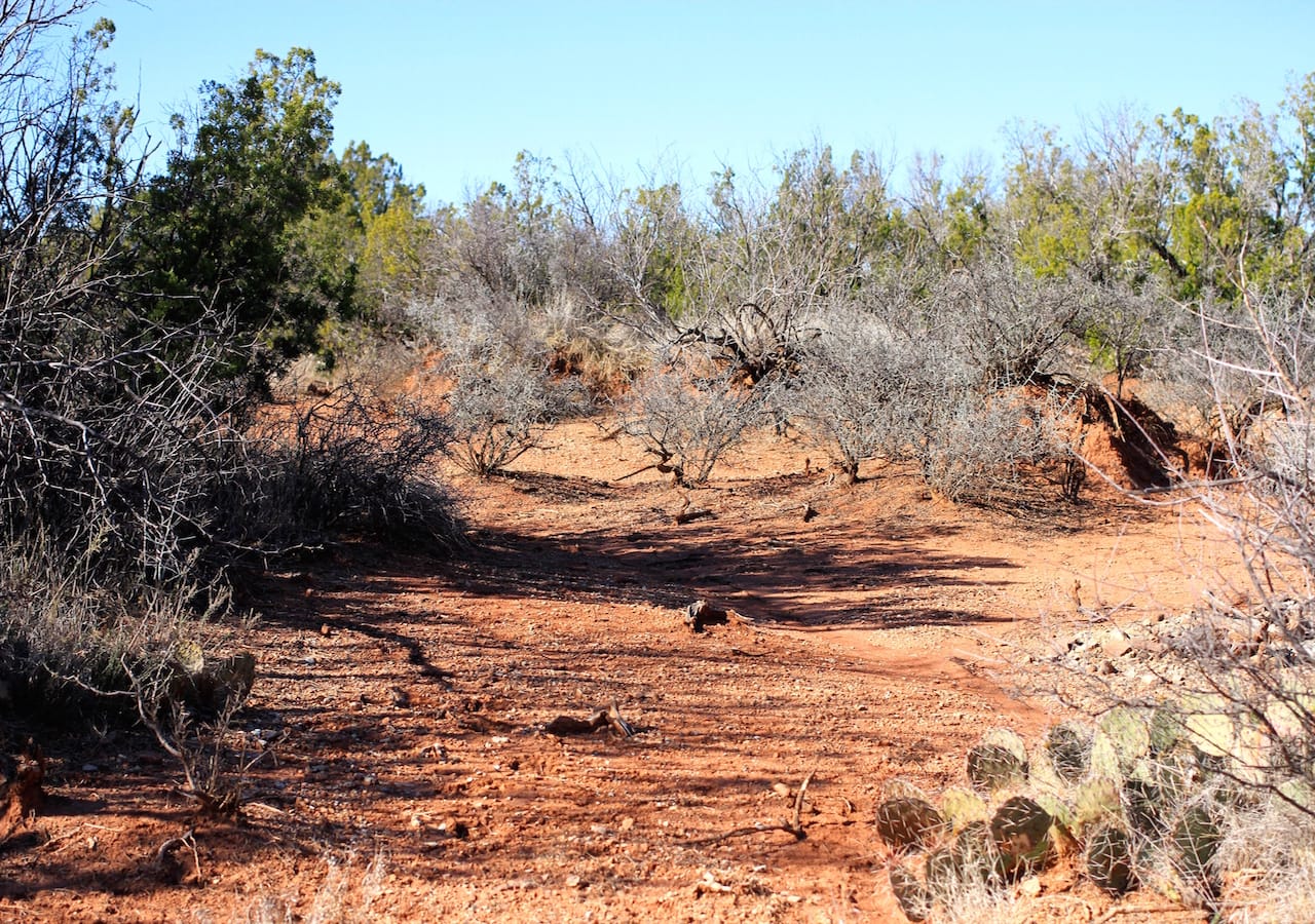 Red Rock Ranch Tract 23 photo 13
