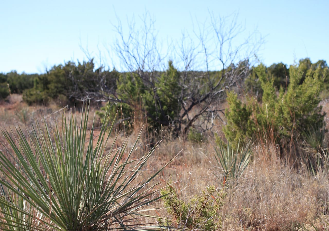 Red Rock Ranch Tract 23 photo 14
