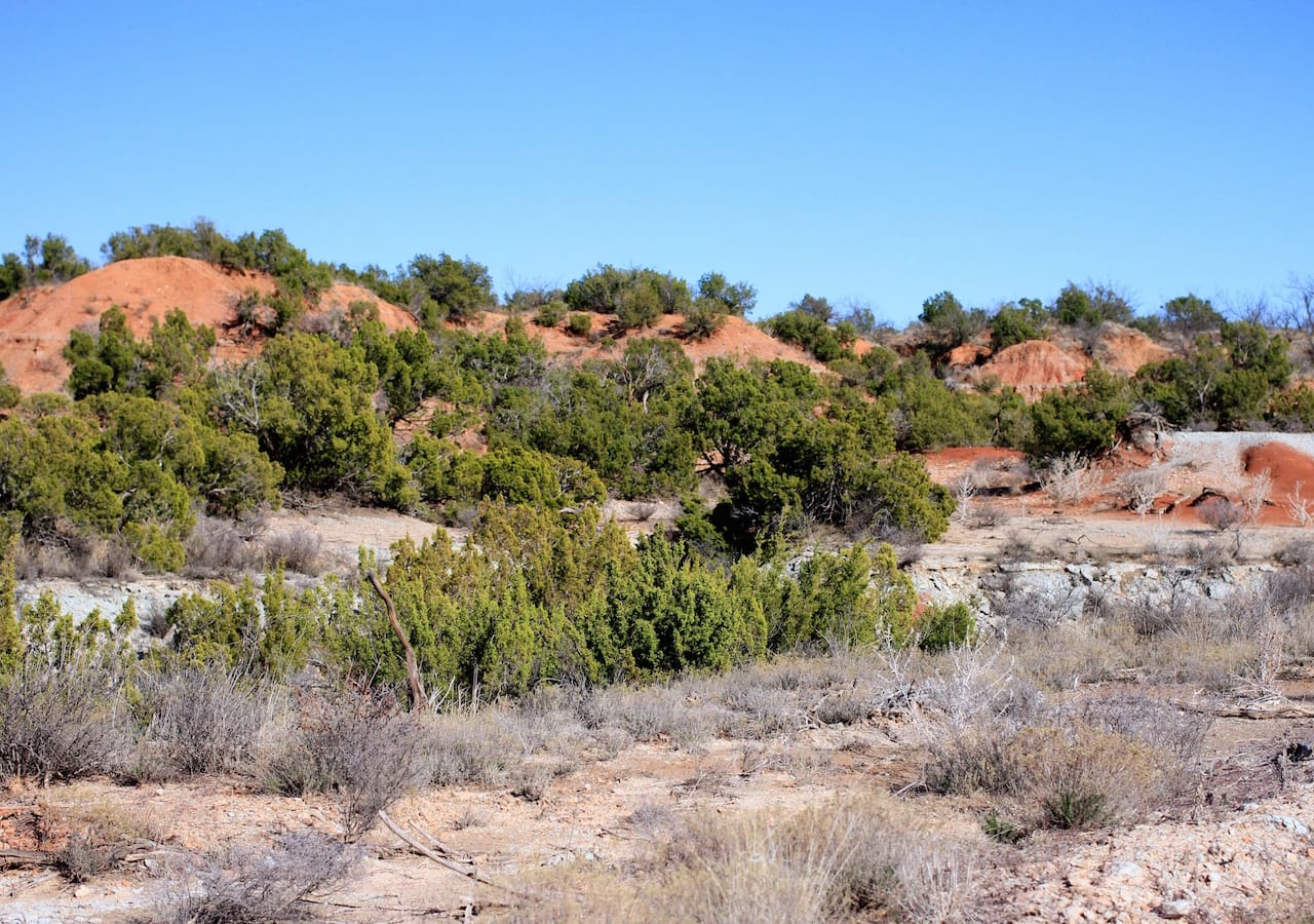 Red Rock Ranch Tract 23 photo 18