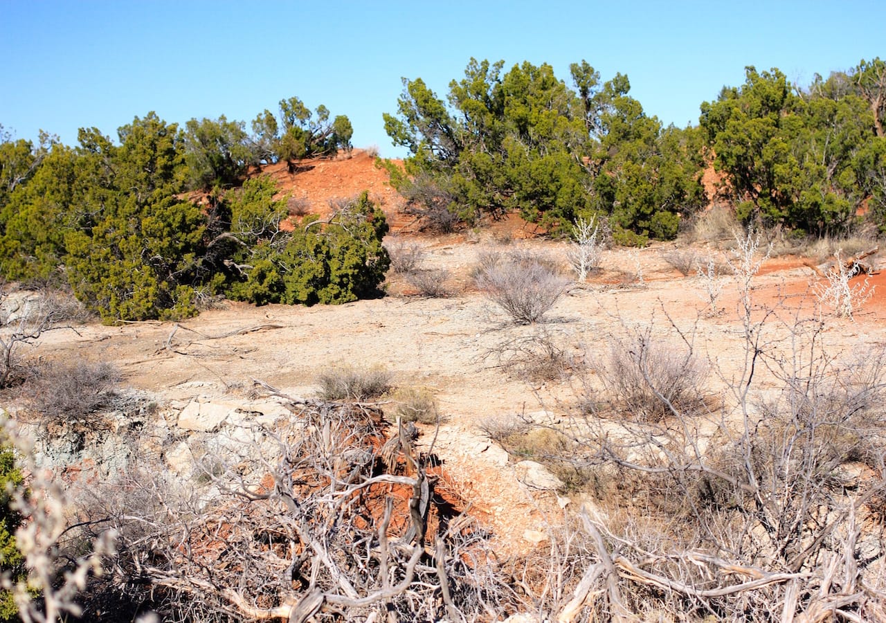 Red Rock Ranch Tract 23 photo 19