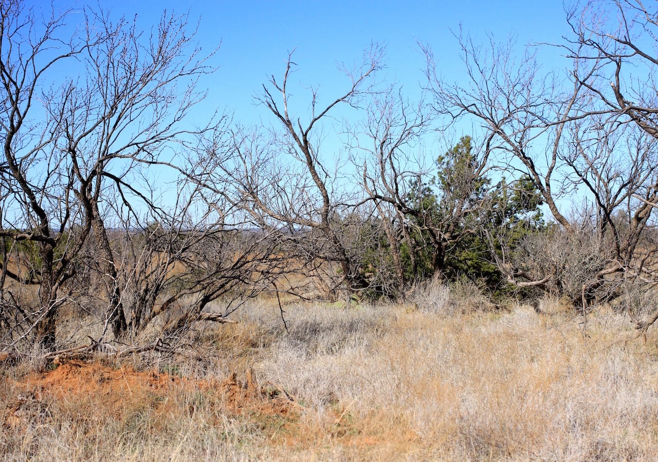 Red Rock Ranch Tract 23 photo 23