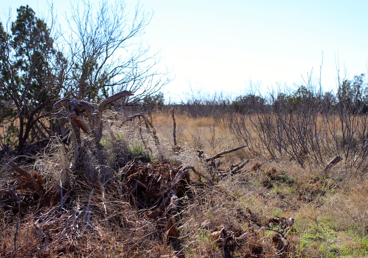 Red Rock Ranch Tract 23 photo 30