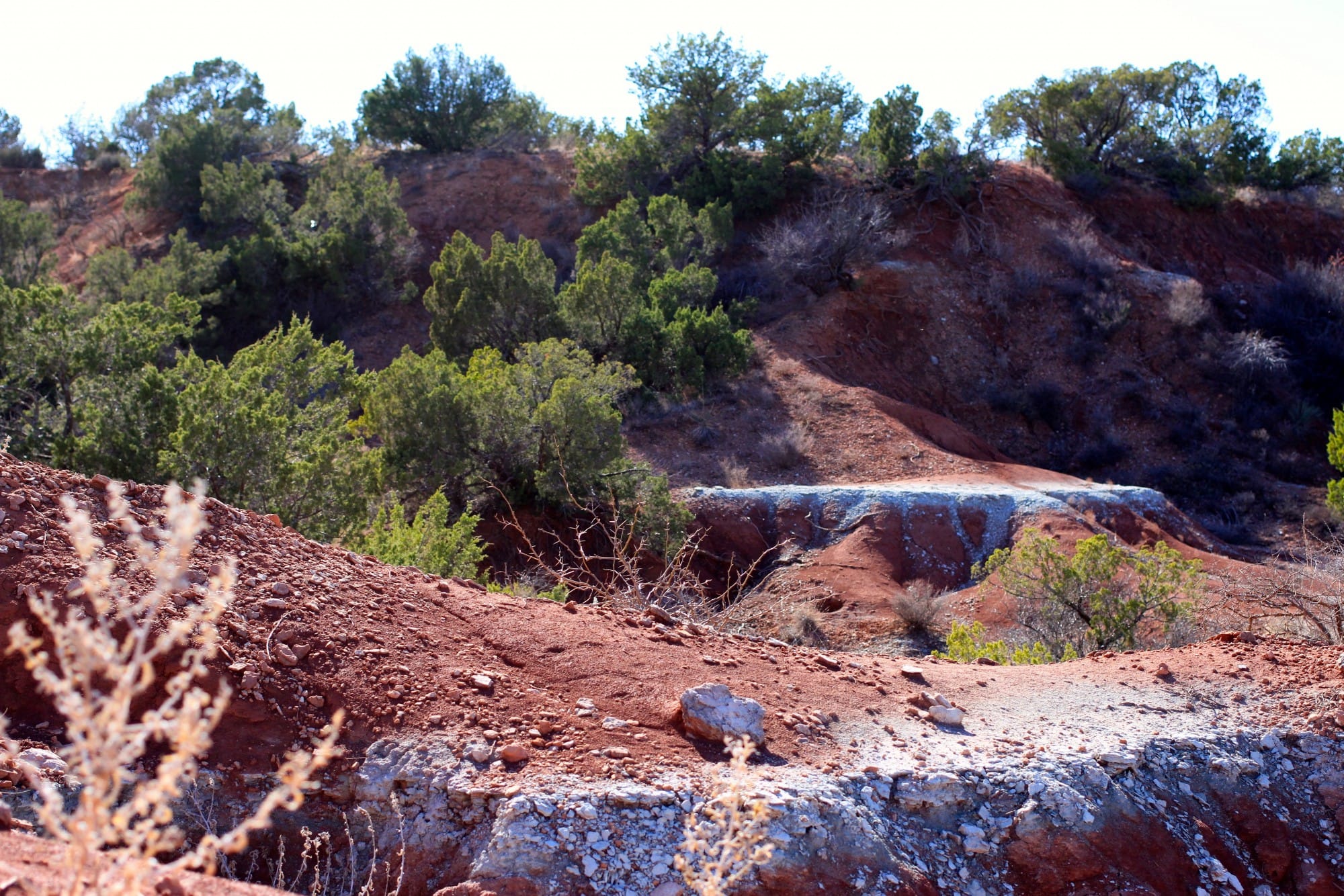 Red Rock Ranch Tract 23 photo 31
