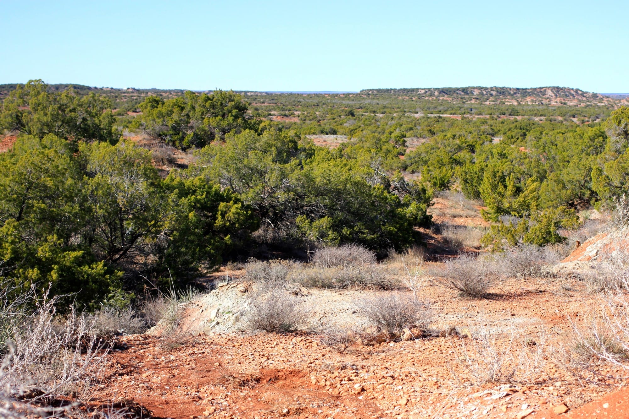 Red Rock Ranch Tract 23 photo 32