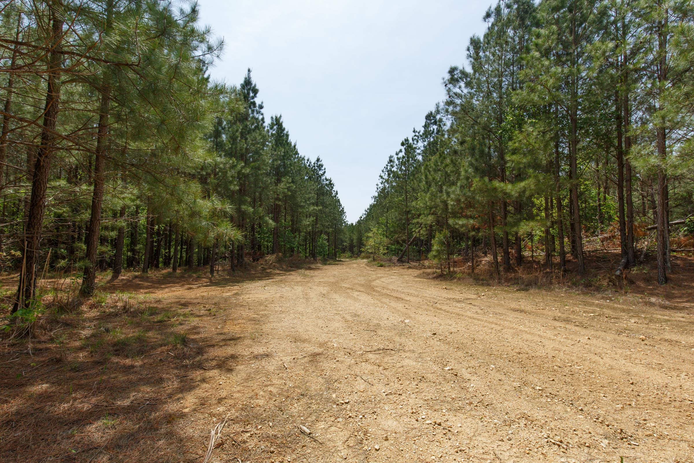 Red Barn Ranch Tract 59 photo 1