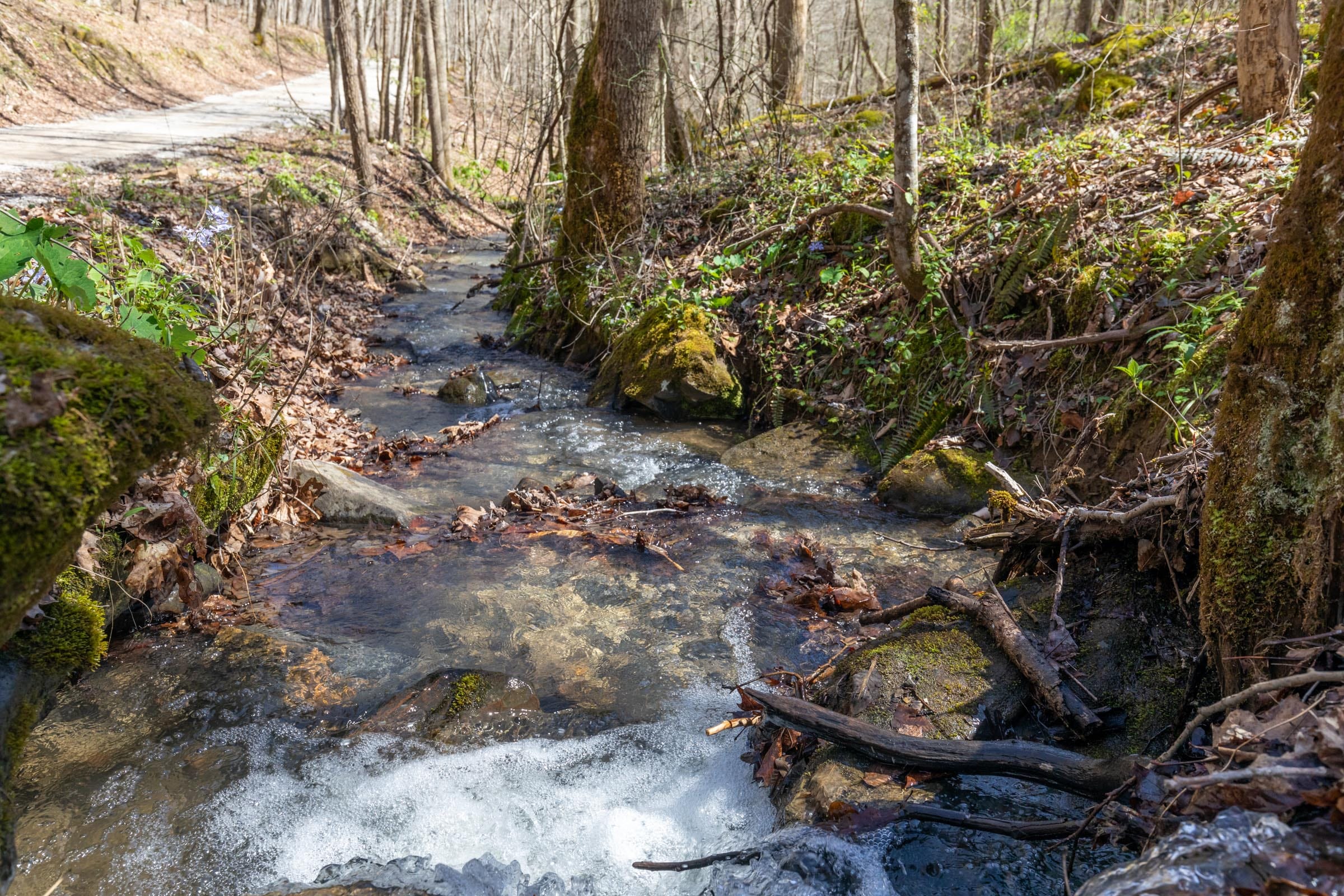 Woodland Heights Tract 14 photo 2