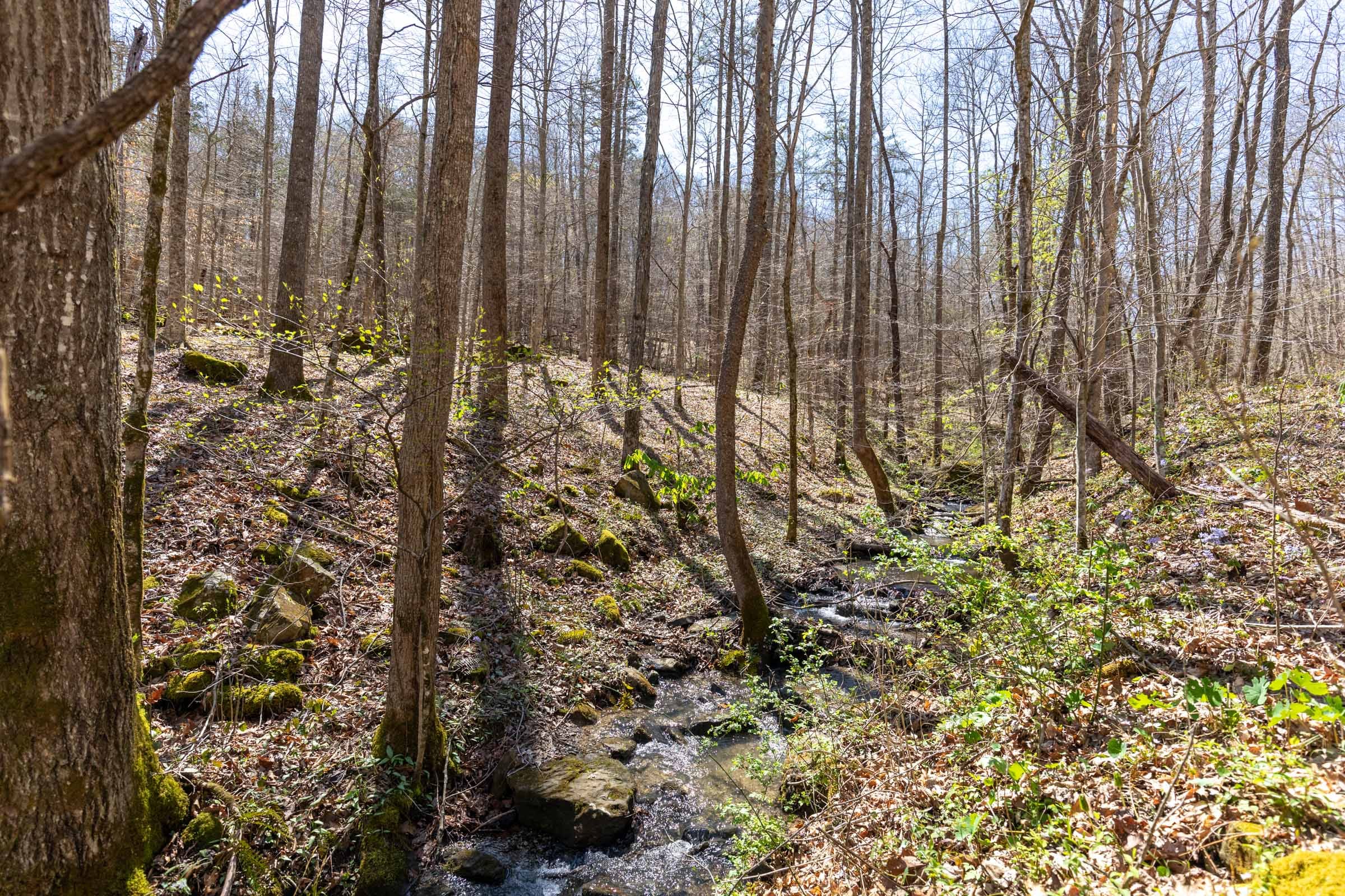 Woodland Heights Tract 14 photo 4