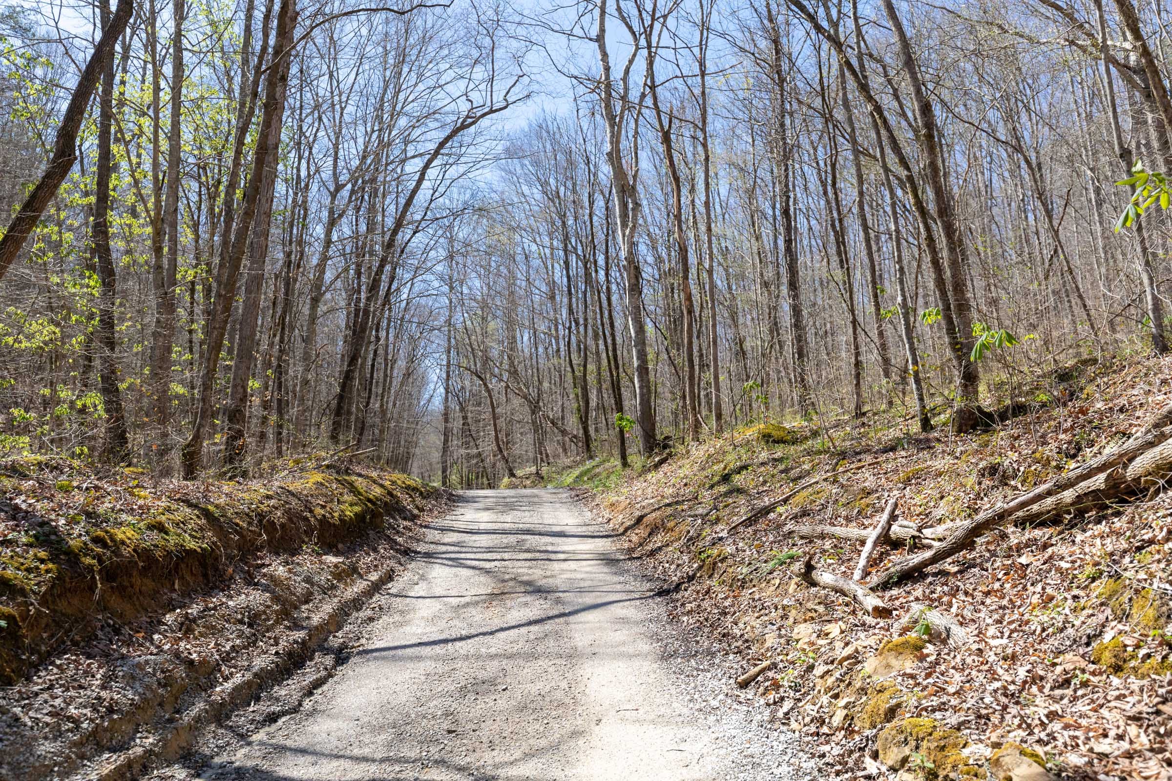Woodland Heights Tract 14 photo 1