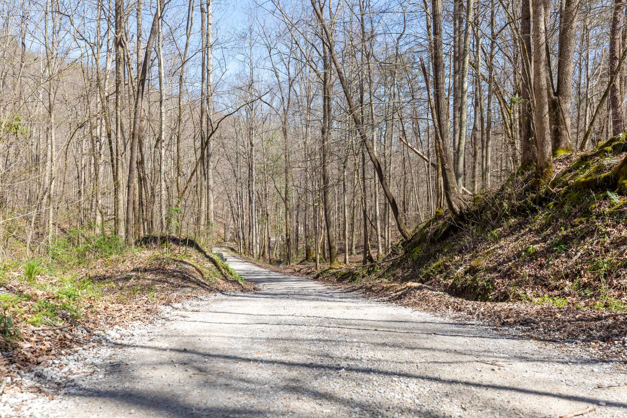 Woodland Heights Tract 14 photo 8