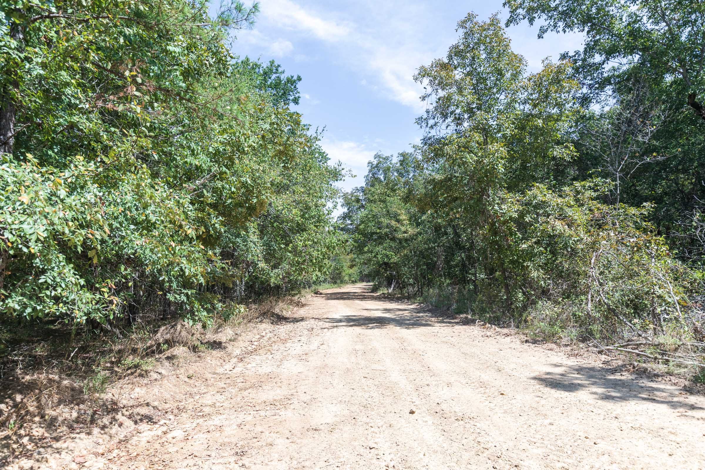 Stone Bridge Phase V Tract 371 photo 1