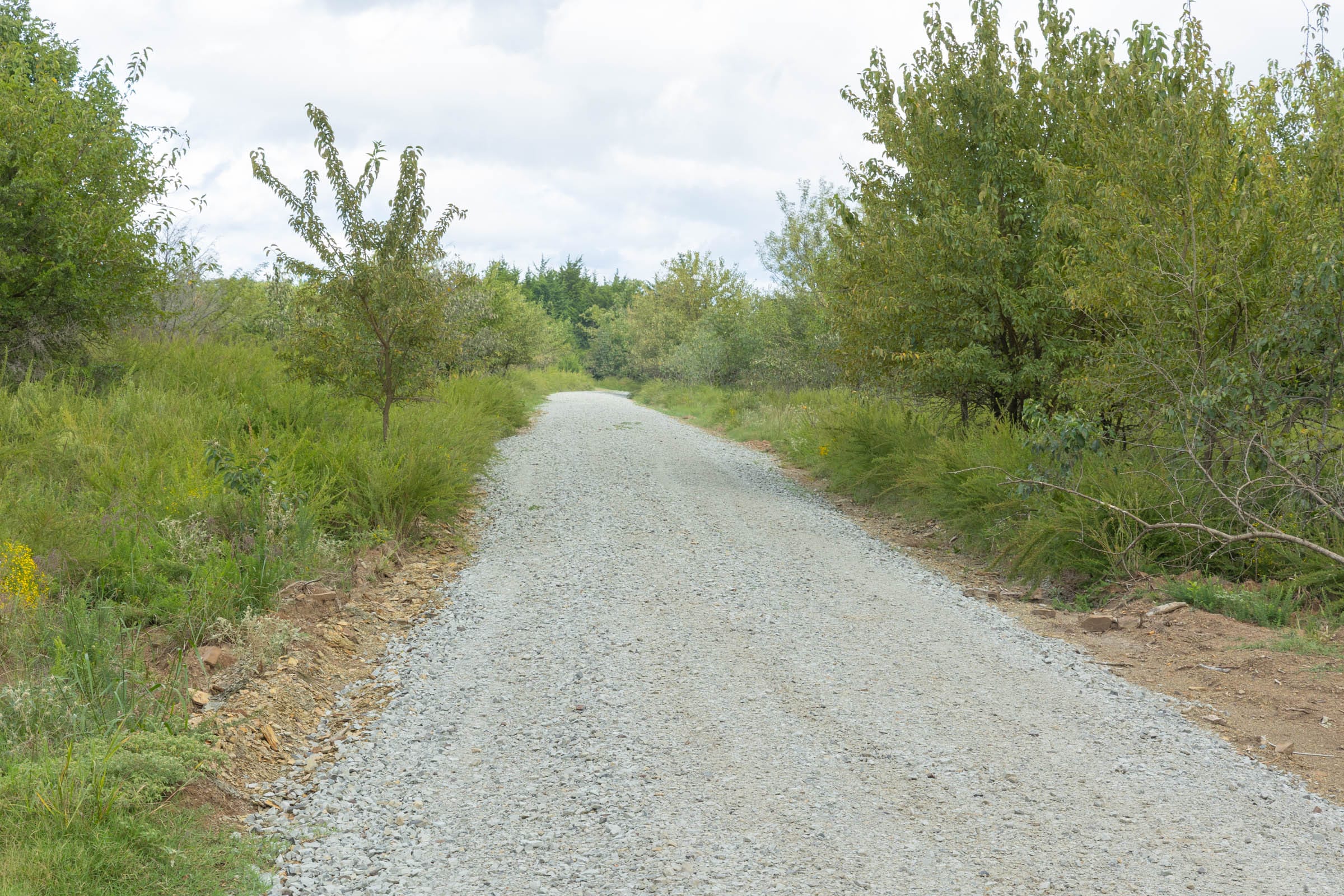 Reserves At Cattail Cove Phase II Tract 50 photo 6